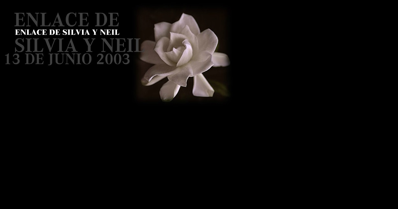 full screen background image